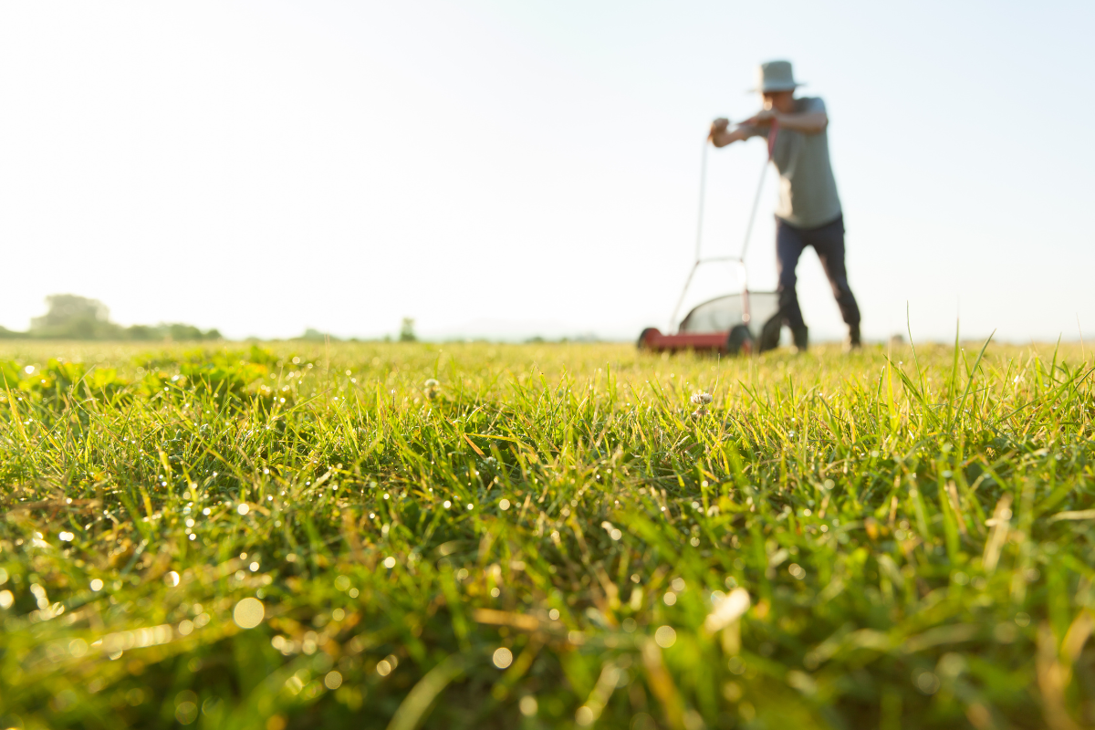 stihl akkumulátoros fűnyírók