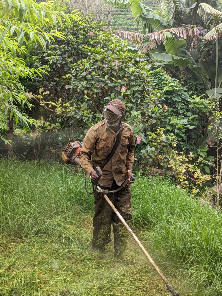 Kertészkedés Stihl gép Gyál eszközökkel