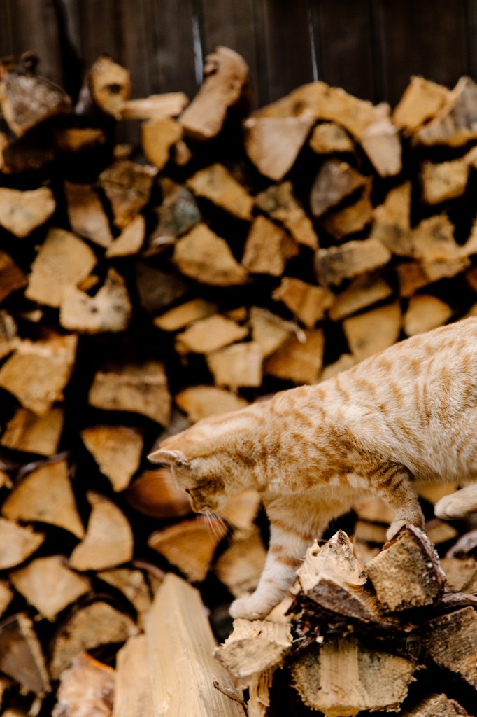 Akció! STIHL gépek Gyál