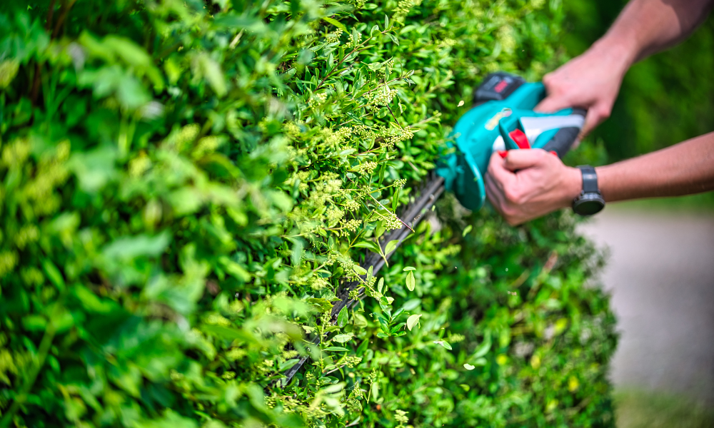 Stihl sövényvágók