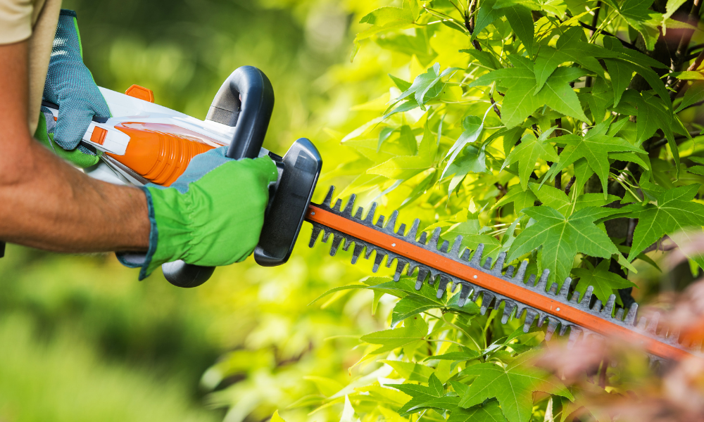 Stihl sövényvágók a Gyáli Kisgépnél